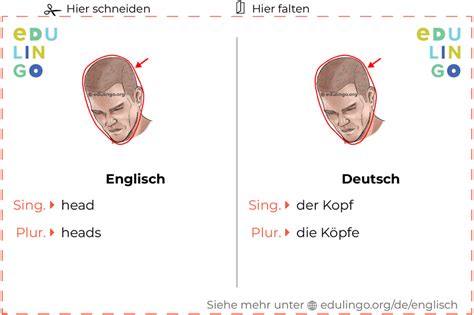 kopf auf englisch|kopf deutsch übersetzung.